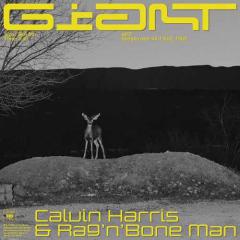 Giant von Calvin Harris (Download) 