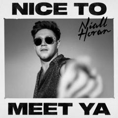 Nice To Meet Ya von Niall Horan (Download) 