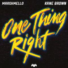 One Thing Right von Marshmello (Download) 