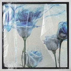 Conversations In The Dark von John Legend (Download) 