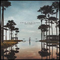 Lose Somebody von Ryan Tedder (Download) 