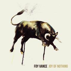 Guiding Light von Foy Vance (Download) 