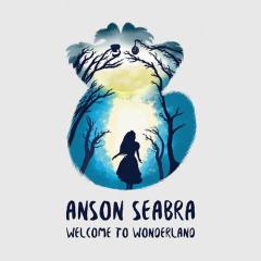 Welcome To Wonderland von Anson Seabra (Download) 
