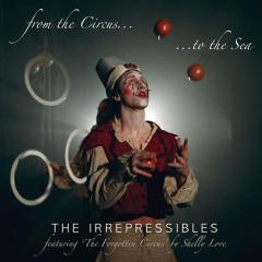 In This Shirt von The Irrepressibles (Download) 