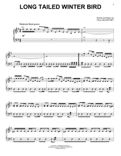Long Tailed Winter Bird von Paul McCartney (Download) 