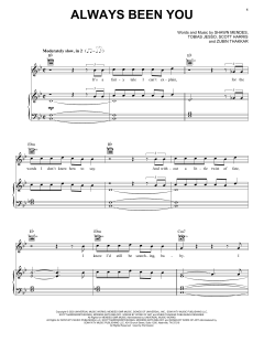 Always Been You von Shawn Mendes (Download) 