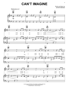 Can't Imagine von Shawn Mendes (Download) 