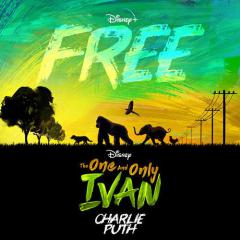 Free von Charlie Puth (Download) 