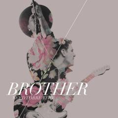 Brother (feat. Gavin DeGraw) von NEEDTOBREATHE (Download) 