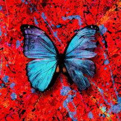 Visiting Hours von Ed Sheeran (Download) 