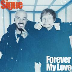 Forever My Love von Ed Sheeran (Download) 