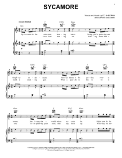 Sycamore von Ed Sheeran (Download) 