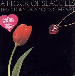 The More You Live, The More You Love von A Flock Of Seagulls (Download) 
