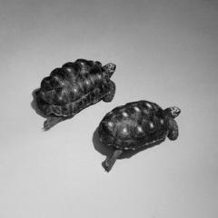 Love Is A Stillness von Sam Smith (Download) 