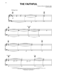 The Faithful von Steve Green (Download) 