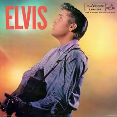 Any Place Is Paradise von Elvis Presley (Download) 