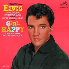 Do Not Disturb von Elvis Presley (Download) 