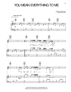 You Mean Everything To Me von Shawn Mullins (Download) 