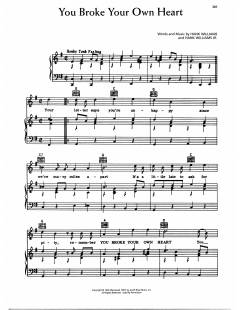 You Broke Your Own Heart von Hank Williams (Download) 