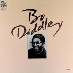 You Can't Judge A Book By The Cover von Bo Diddley (Download) 