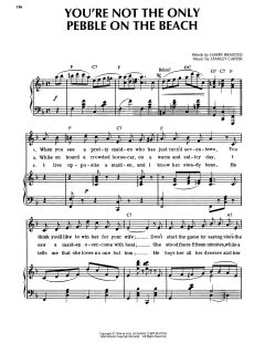 You're Not The Only Pebble On The Beach von Stanley Carter (Download) 