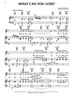 What Can You Lose von Danny Elfman (Download) 