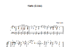 Waltz (D.844) (Download) 