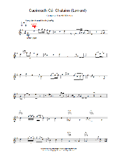 Caoineadh Chú Chulainn von Riverdance (Download) 