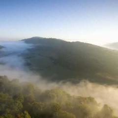 We'll Keep A Welcome von Lyn Joshua (Download) 