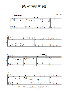 1st Movement Themes Piano Concerto No.3 Op.37 von Ludwig van Beethoven (Download) 