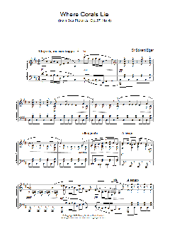 Where Corals Lie (Download) 