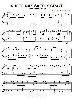 Sheep May Safely Graze von Johann Sebastian Bach (Download) 