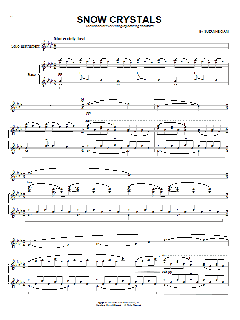 Snow Crystals von Suzanne Ciani (Download) 