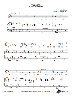 V'sham'ru von Robbie Solomon (Download) 