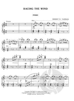 Racing The Wind von Robert D. Vandall 