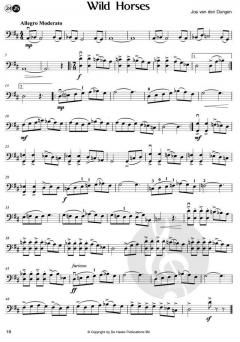 Magical Colours von Jos van den Dungen 