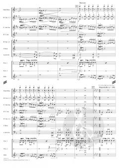 Pirates Of The Caribbean: Dead Man's Chest (Hans Zimmer) 