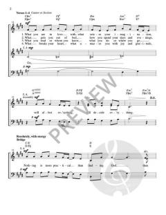 Fall in Love von Chris de Silva 