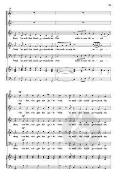 Mein Schifflein lief im wilden Meer von Johann Hermann Schein 