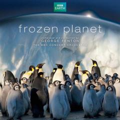 Frozen Planet, Following The Herd von George Fenton (Download) 