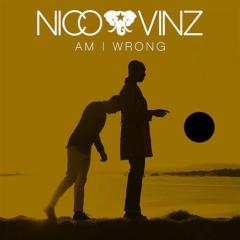 Am I Wrong von Nico & Vinz (Download) 