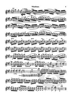 Concertino A-moll, Op. 14 von Leo Portnoff 