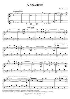 A Snowflake von Peter Broderick (Download) 