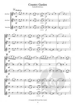 Three's a Crowd Book 2 Saxophone von James Power 