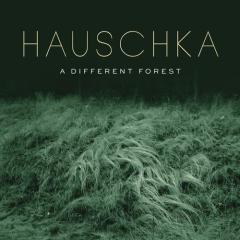 Curious von Hauschka (Download) 