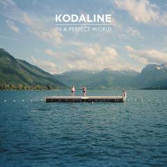 All I Want von Kodaline (Download) 