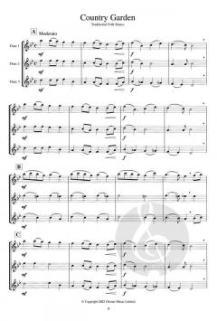 Three's A Crowd Junior Book B Flute von James Power 