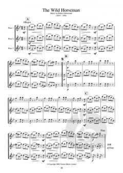 Three's A Crowd Junior Book B Flute von James Power 