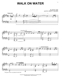 Walk On Water von David Lanz (Download) 