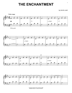 The Enchantment von David Lanz (Download) 